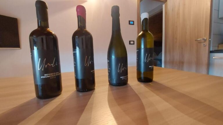 Agriturismo 613453367 1